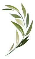 Elegant botanical branch with flowing green leaves in various shades, isolated on white background for modern design projects and natural decor elements.
