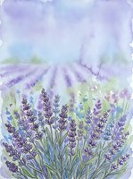 Watercolor lavender field with blooming purple flowers in the foreground and soft rows fading into a misty blue-green background.
