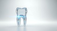 Transparent tooth model showing internal dental anatomy with root canal structure and pulp chamber on white background, suitable for dental education and healthcare marketing materials.