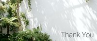 Lush green ferns and tropical plants against a sunlit white wall with soft shadows and Thank You text for cards and banners.
