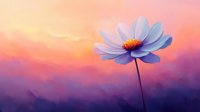 Single white cosmos flower blooming against dreamy sunset sky with soft pink and purple gradient colors creating peaceful nature scene for wellness content.