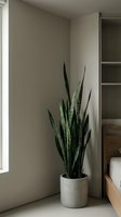 Modern minimalist bedroom corner with snake plant in concrete pot near built-in shelving and natural light for contemporary home decor and interior design.