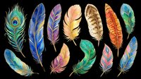 Colorful watercolor feathers set isolated on transparent background, ready for t-shirt design, stickers, clipart, sublimation, and print on demand projects.