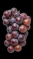 Red grapes bunch isolated on transparent background, ready for clipart, t-shirt design, print-on-demand products, stickers, and sublimation projects.