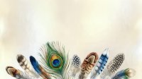 Colorful collection of exotic bird feathers including peacock plume arranged horizontally on textured cream background for craft projects.