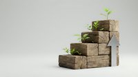 Wooden blocks arranged as ascending steps with green plants sprouting from each level, symbolizing growth and sustainable development concepts.