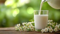 Fresh milk being poured into glass on wooden table with white flowers against green bokeh background for healthy breakfast and dairy products.