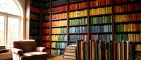 Cozy library interior with rainbow-colored books organized by hue on wooden shelves, comfortable leather armchair and natural window light for reading.
