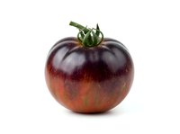 Dark purple tomato with green stem isolated on white background, suitable for food packaging, recipe blogs, and culinary design projects.
