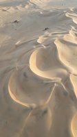 Aerial view of golden sand dunes with flowing curves and wind-carved patterns in vast desert landscape during warm sunlight creating natural textures.