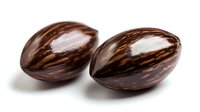 Two whole nutmeg seeds with natural brown striped shells isolated on white background for culinary spice cooking baking ingredient design projects.