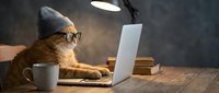 Orange tabby cat wearing glasses and knit hat working on laptop at wooden desk with coffee mug and books under warm desk lamp light.