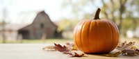 Orange pumpkin with autumn leaves on wooden surface against blurred farm background for seasonal harvest decorating and fall holiday celebrations.
