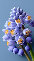 Delicate purple spring flowers with bright orange stamens against soft blue background, perfect for seasonal greeting cards and floral designs.
