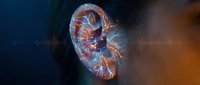 Transparent jellyfish with glowing orange and blue bioluminescent tentacles floating in dark ocean water. Marine life underwater photography for educational content.