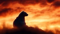 Silhouette of majestic bear sitting on mountain peak against dramatic orange sunset sky with glowing clouds, creating powerful wilderness atmosphere.