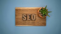 Wooden board with SEO letters and small succulent plant on blue background, symbolizing digital marketing and search engine optimization strategy.
