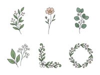 Botanical line art illustrations featuring hand-drawn plants, flowers, and leafy branches in minimalist style. Isolated elements ready for design projects, invitations, and decorative applications.