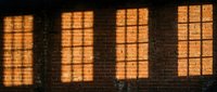 Close-up of warm golden light streaming through industrial windows onto dark brick wall, creating geometric shadow patterns for architectural and interior design projects.