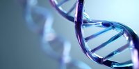 DNA double helix structure in blue and purple tones against soft gradient background, representing genetic research and biotechnology.