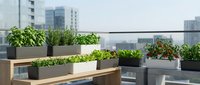 Young woman, Caucasian ethnicity, in casual attire, tending to potted plants on a rooftop garden with urban skyline backdrop. Urban gardening and green living concept.