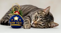 Tabby cat lying down and playing with a blue New Year ornament decorated with gold star and festive ribbon on white background, suitable for holiday greeting cards and seasonal marketing materials.