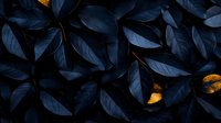 Dark blue leaves with golden accents create dramatic natural pattern in moody lighting, highlighting organic textures and shadows for luxury design projects.
