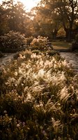 Golden ornamental grasses swaying in warm autumn sunlight with blurred trees and flowering shrubs creating dreamy bokeh in peaceful garden landscape.