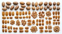 Pecan nuts arranged in organized rows showing whole kernels, halves, and pieces isolated on white background for culinary, nutritional, and design applications.