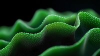 Vibrant green undulating surface with tiny water droplets creating textured waves against dark background, resembling natural moss or plant structure.