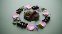 Dark chocolate pieces surrounded by coffee beans and colorful flower petals in circular arrangement on neutral background for culinary designs.