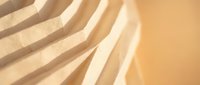 Warm golden sunlight creates elegant palm leaf shadows on textured beige wall surface. Natural lighting effects for interior design and tropical decor concepts.