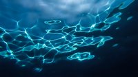 Underwater view of sunlight creating dancing light patterns on ocean floor through clear blue water with rippling surface reflections above.
