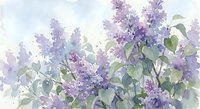 Watercolor lilac flowers with green leaves in soft purple and lavender tones, spring botanical artwork for home decor and garden design projects.