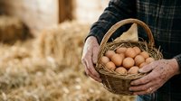 Farmer holding wicker basket filled with fresh brown eggs in rustic barn setting with straw background, suitable for agricultural and food industry marketing.