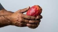 Male hand holding fresh red apple with water droplets, suitable for healthy eating, nutrition, and organic produce marketing materials.