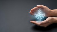 Hands protecting glowing plant icon symbolizing environmental care, sustainability, growth protection, and eco-friendly business practices on dark background.
