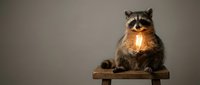 Adorable raccoon sitting on wooden stool holding glowing light bulb against neutral background, symbolizing creativity and bright ideas for marketing.