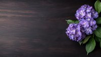 Purple hydrangea flowers with green leaves on dark wooden background, copy space for text. Natural floral composition with moody atmosphere.