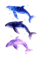 Watercolor cosmic whales with starry galaxy pattern in blue and purple gradients on white background, isolated design element for nursery art and stationery.