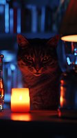 Mysterious cat portrait in dramatic lighting with glowing candles creating orange and blue ambiance, dark moody atmosphere for Halloween or mystical designs.