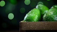 Fresh ripe avocados covered with water drops in wooden box on dark background with green bokeh lights, food photography with copy space.