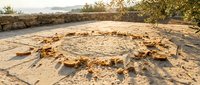 Circular arrangement of ancient stone ruins on sandy ground with distant hills and golden hour lighting, suitable for historical, archaeological, and travel content.