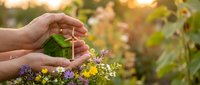 Hands protecting small green house model over wildflowers symbolizing eco-friendly home protection and sustainable real estate investment concepts.