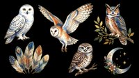Owl species collection with feathers and celestial moon, isolated on transparent background. Ready for t-shirt design, clipart, stickers, sublimation, print-on-demand products and digital crafts.