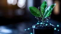 Green plant leaves emerging from soil with glowing network connections and dots representing digital growth and technological advancement in nature.