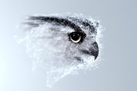 Artistic owl portrait with dispersing particle effect shows piercing yellow eye and sharp beak against light background, creating mysterious atmosphere.