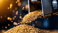Pouring golden grain seeds from industrial machinery into a pile, capturing agricultural harvest and food production process with warm lighting.