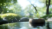 Small green plant growing in glass vase on wooden platform floating in calm water surface with magical bokeh lights and nature background.