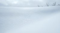 Pristine snow-covered field with bare winter trees under overcast sky creating peaceful minimalist landscape for seasonal backgrounds and nature designs.
